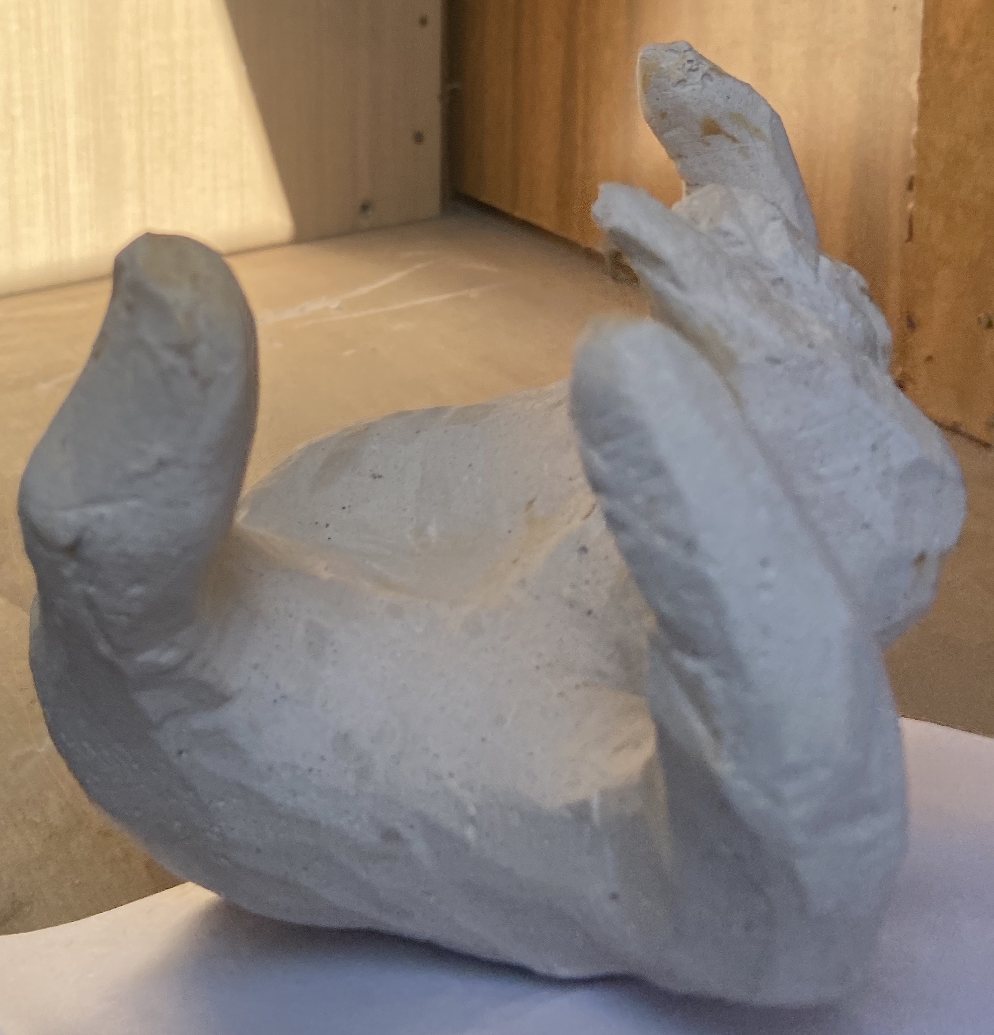 Tribute to the Thumb